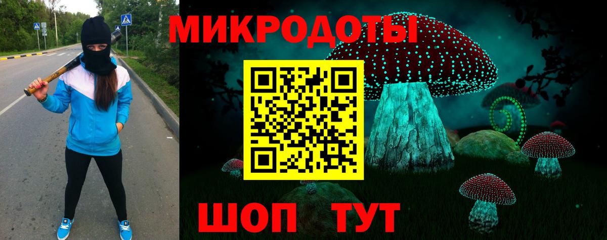 Псилоцибиновые грибы прущие грибы Черняховск